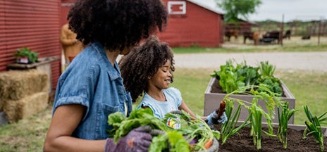 Woman with child planting vegetables in a raised garden bed on a farm