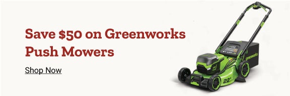 Greenworks promo