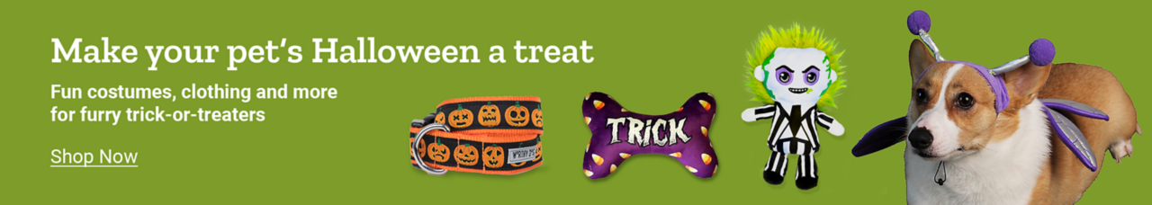 Make your pet's Halloween a treat with costumes & more at Tractor Supply.