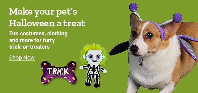 Make your pet's Halloween a treat with costumes & more at Tractor Supply.