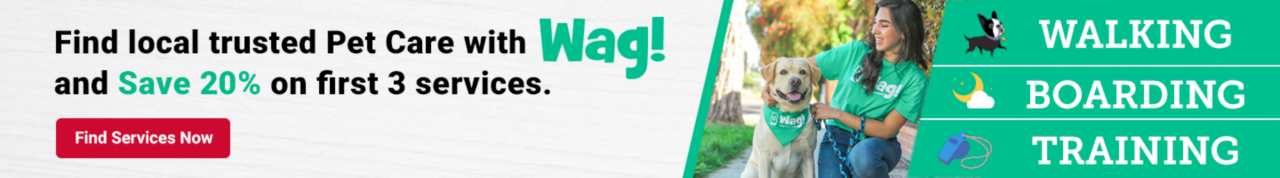 Find local trusted pet care with Wag! and save 20% on your first 3 services. Walking, boarding, training.