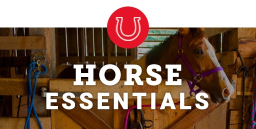 Buy Essential Horse Braiding Tools Online
