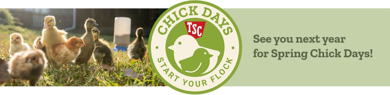 TSC Chick Days, Start Your Flock. See you next year for Spring Chick Days!