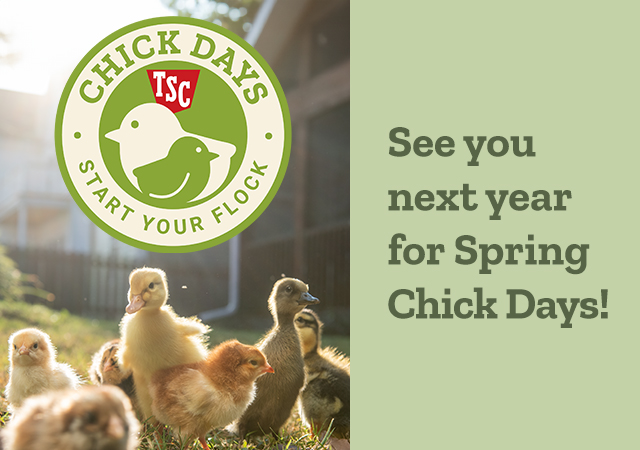 TSC Chick Days, Start Your Flock. See you next year for Spring Chick Days!