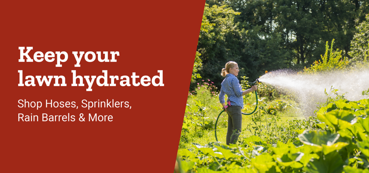Keep Your Lawn Hydrated with Hoses, Sprinklers, Rain Barrels & More