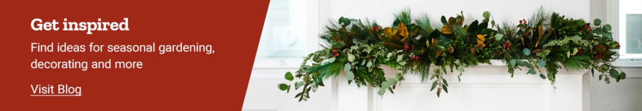 Get inspired. Find ideas for seasonal gardening, decorating and more. Visit Blog