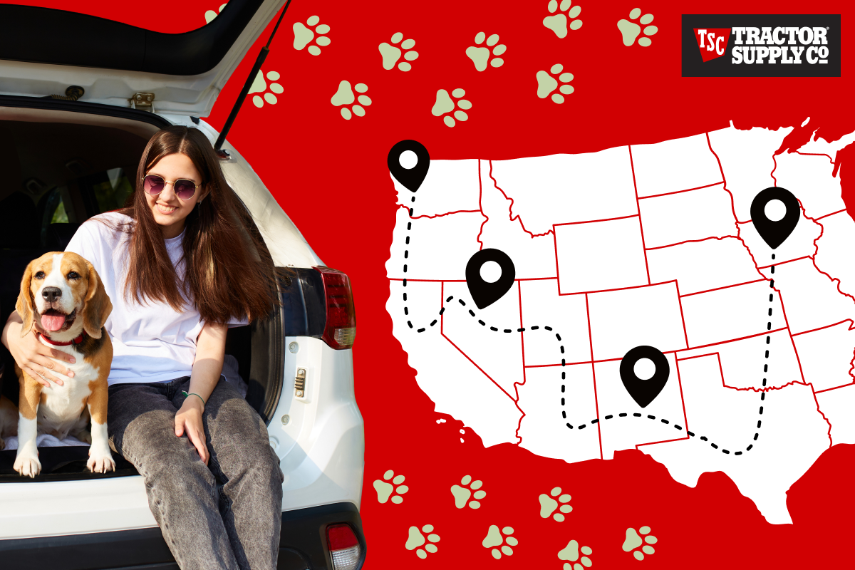 Dog-friendly travel header image - woman traveling with dog