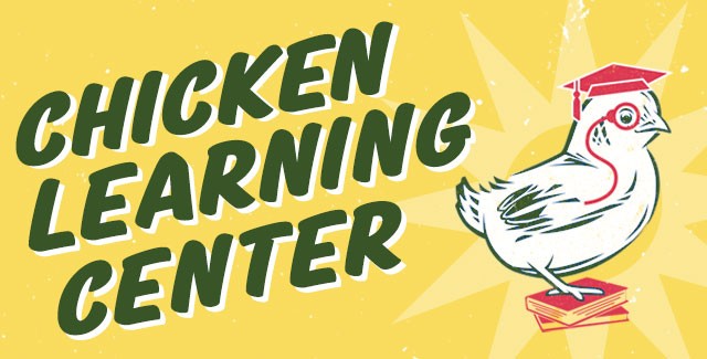 How to Raise Chickens: Chicken Care Guide for Beginners