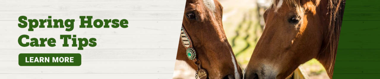 Spring Horse Care Tips. Learn More.